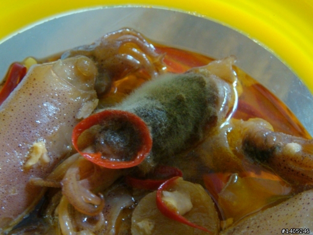 發霉的澎湖名產小管醬