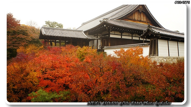 NEX-3 京都東福寺賞楓