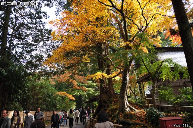 [分享]日本東北新景點 - 平泉