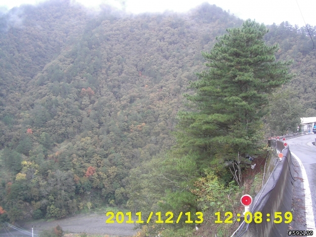北橫 合歡山 清境