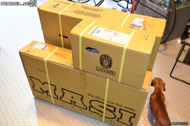 [開箱] 我的新戰駒 MASI Evoluzione Euro Blue