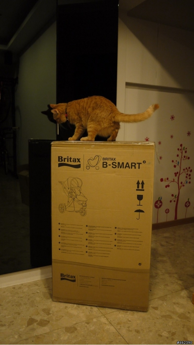 給我準備出生的女兒 聖誕節的禮物 BRITAX SMART 推車  開箱分享