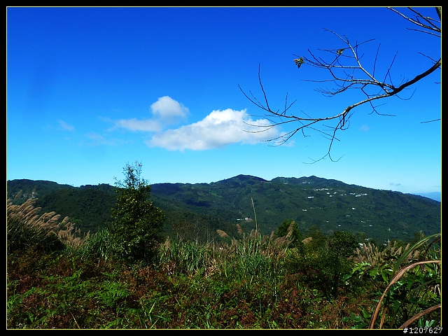 2011.12.07_首探獨立山頭-大坪山