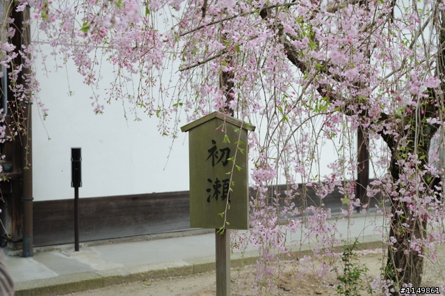 [分享]日本世界文化遺產 - 京都(上)