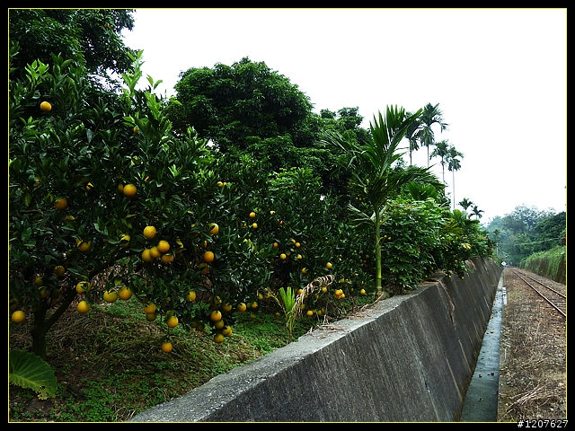 2011.12.02_獨客獨行再續鐵道情！（最終回：竹崎-樟腦寮站）