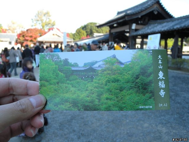 [京都]賞楓@東福寺