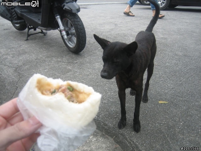 [CPI SM250] 風雨無阻32耐