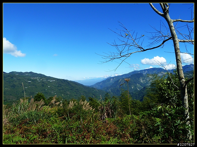 2011.12.07_首探獨立山頭-大坪山