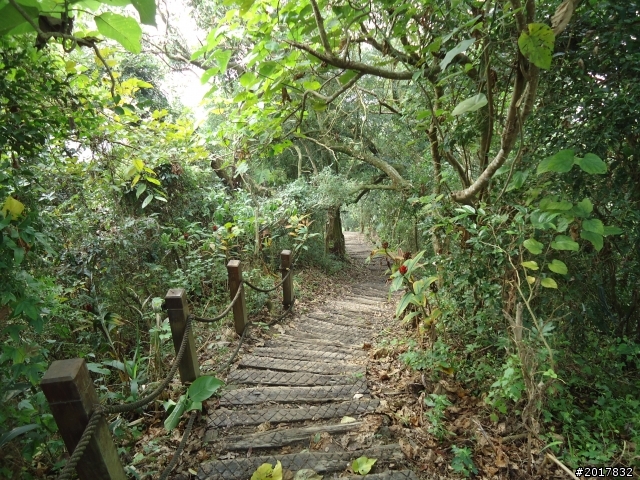 12/15南化北寮糖子恩山(鈺鼎步道)
