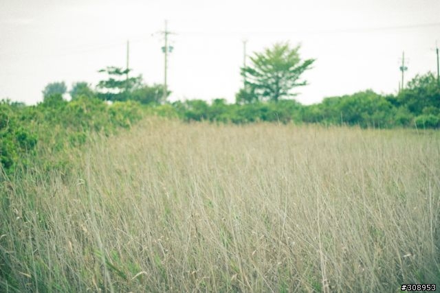 第一次用 CANON 60D 拍照 ~~~