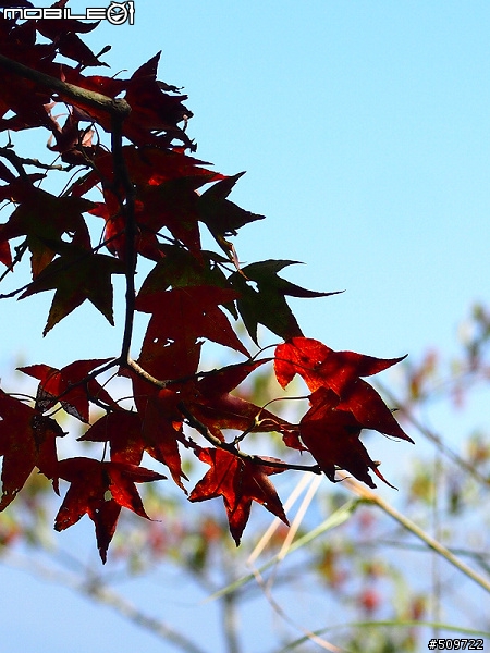 12月初登馬拉邦山