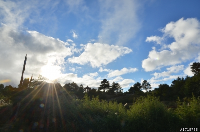 大雪山 楓與山與嵐的交織