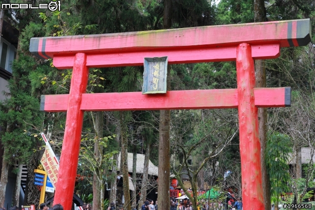 溪頭妖怪村~爬山行!!