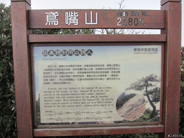 大雪山支線鳶嘴山一日遊(圖多)