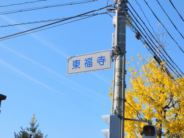[京都]賞楓@東福寺