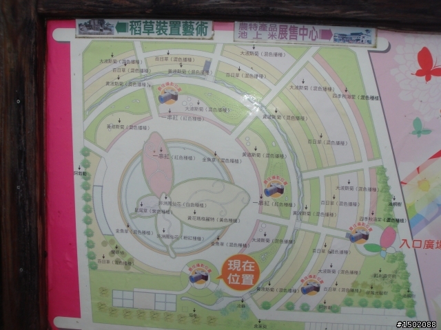 『歐力尚』花東五天半五夜花東縱谷機車行(全更新完畢)