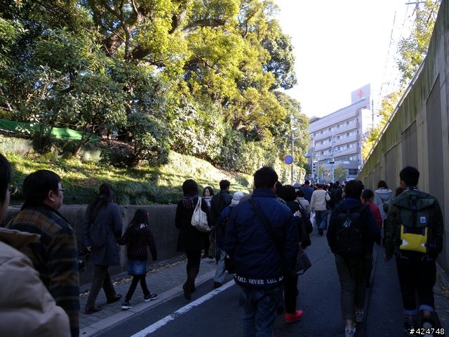 [京都]賞楓@東福寺