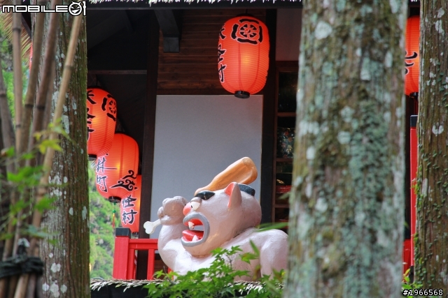 溪頭妖怪村~爬山行!!