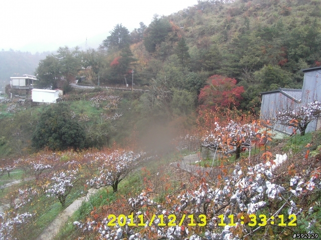 北橫 合歡山 清境