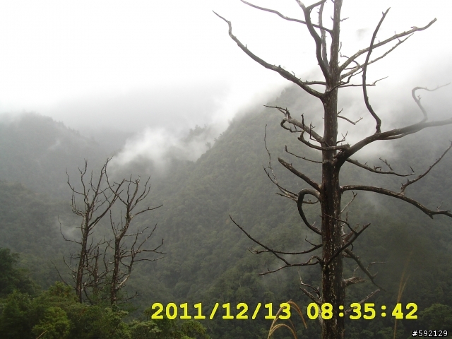 北橫 合歡山 清境