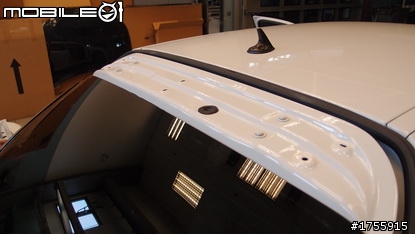 白虱目魚尾翼變長了