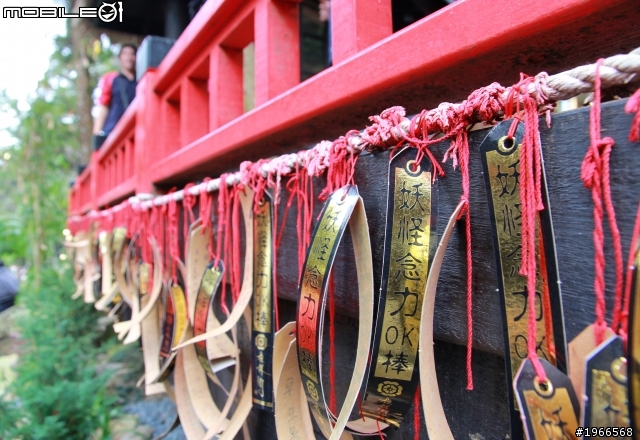 溪頭妖怪村~爬山行!!