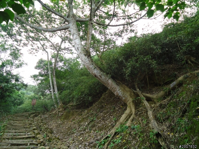 12/15南化北寮糖子恩山(鈺鼎步道)