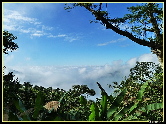 2011.12.07_首探獨立山頭-大坪山