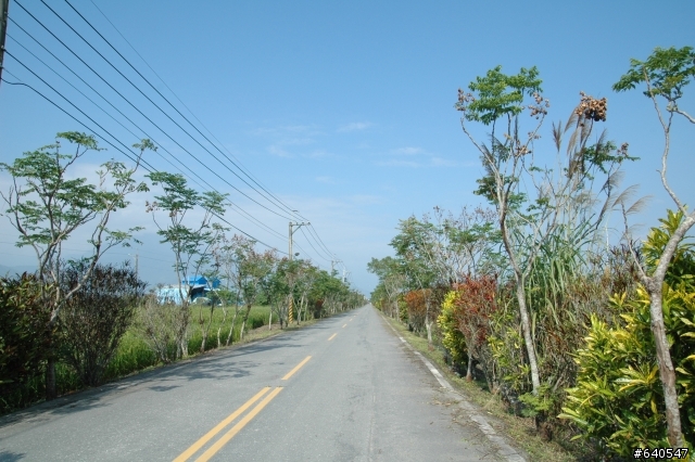 戀戀193花東單車自由行