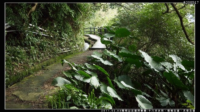 「遊記拾遺」陽明山古道 - 十八分水圳、橫嶺古道、天母古道、天母山步道