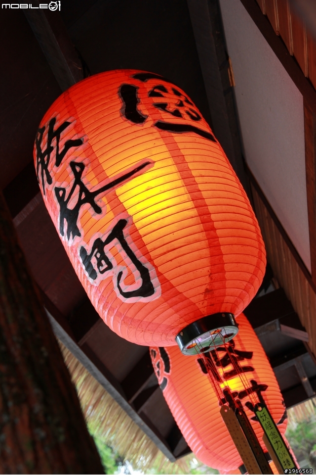 溪頭妖怪村~爬山行!!