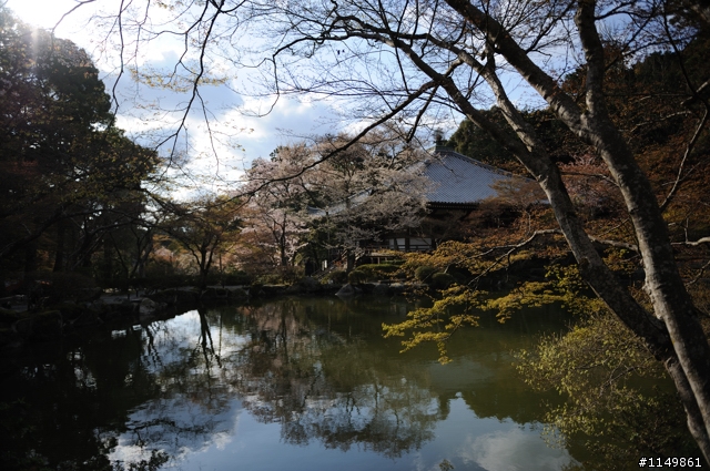 [分享]日本世界文化遺產 - 京都(上)