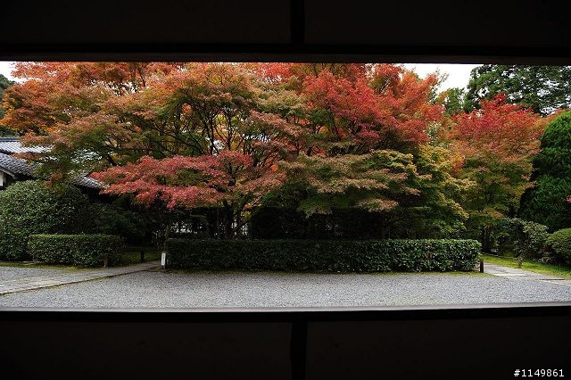 [分享]日本世界文化遺產 - 京都(下)