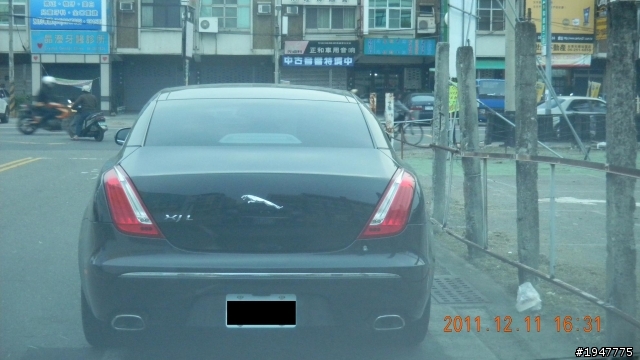 風格獨特的大貓......XJL