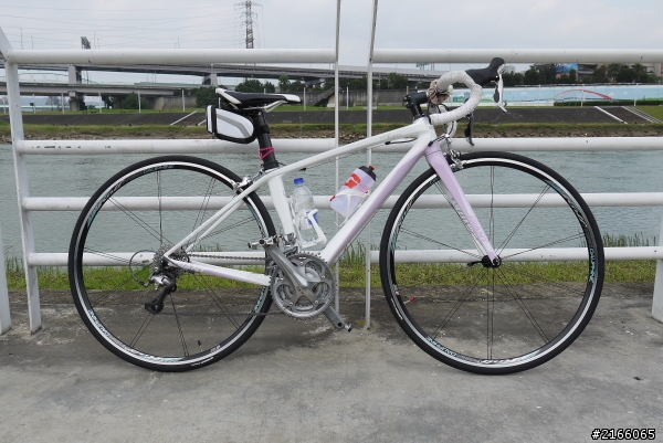 【分享文】Rolf Prima Dauphine 700c輪組