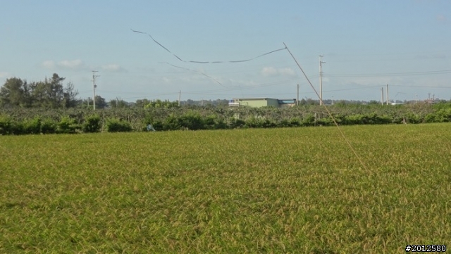 [[休閒路線]]苗栗縣揉風．慢活．貓裏海自車道