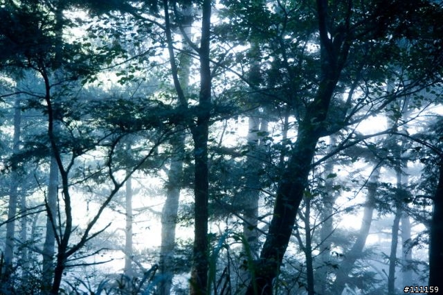 雲海、日出、汗水、天使的眼淚、嘉明湖