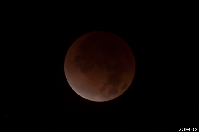 [分享] 2011年的最後一次全月蝕