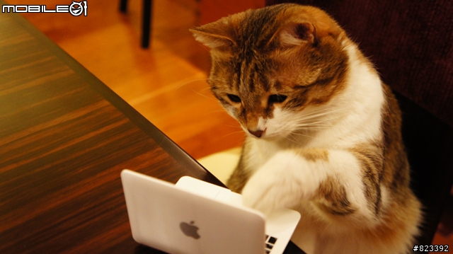 貓咪專用MACBOOK！