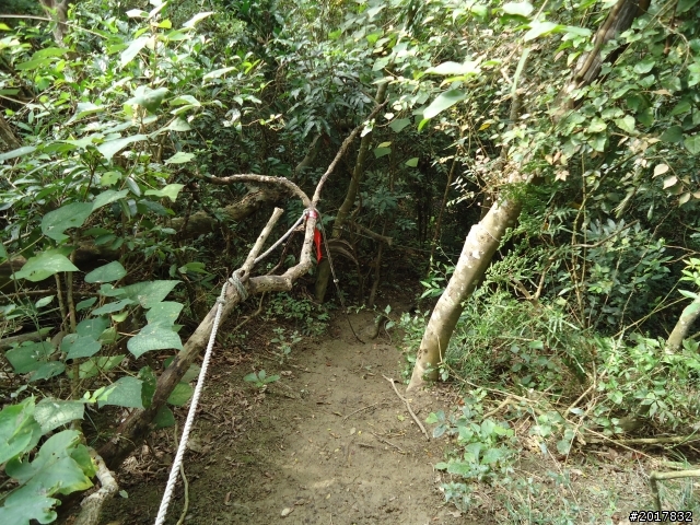 12/15南化北寮糖子恩山(鈺鼎步道)