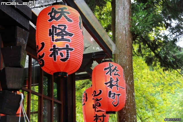 溪頭妖怪村~爬山行!!