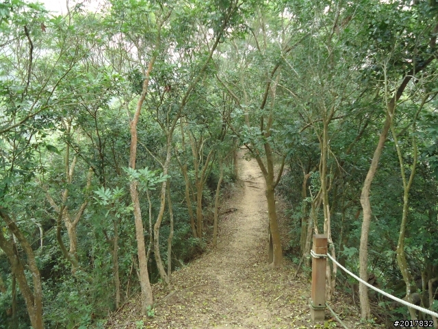 12/15南化北寮糖子恩山(鈺鼎步道)