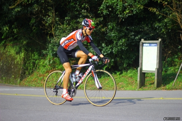 (冷水坑松園)2011陽金P字山道照片分享