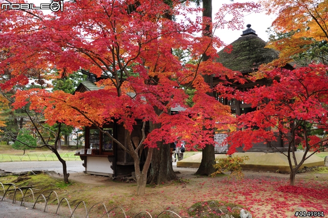 [分享]日本東北新景點 - 平泉