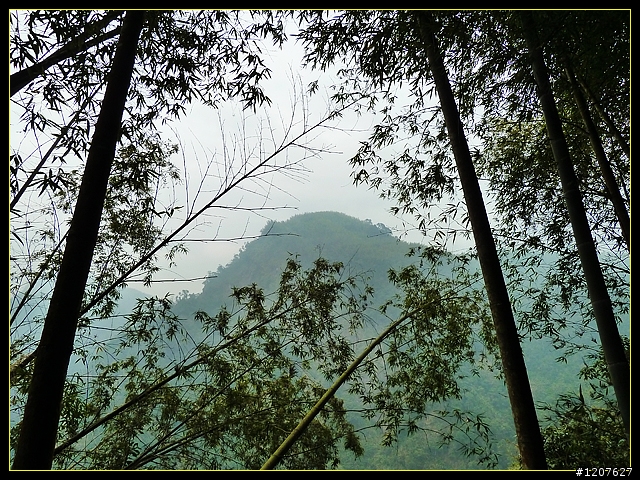 2011.12.26_水社寮-水水古道(順登五棲嶺)