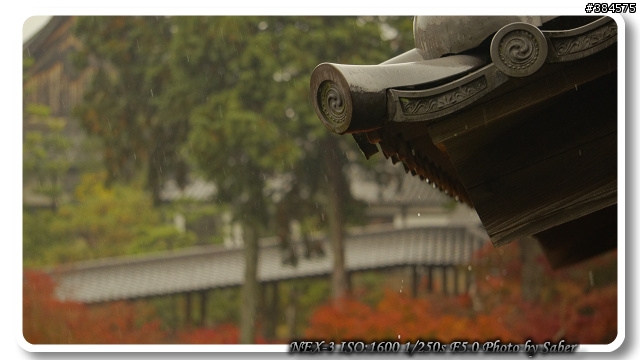 NEX-3 京都東福寺賞楓