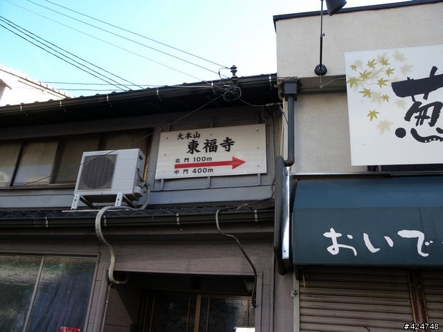 [京都]賞楓@東福寺