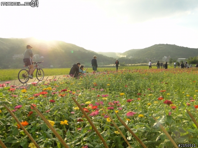 關於全幅入門 D700&5Dmarkll 擇一