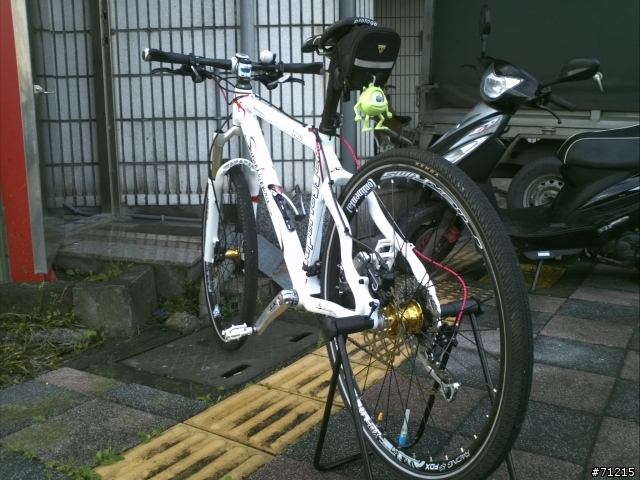 [純屬分享愛駒]