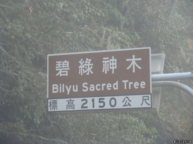20111217~18 環半島首發